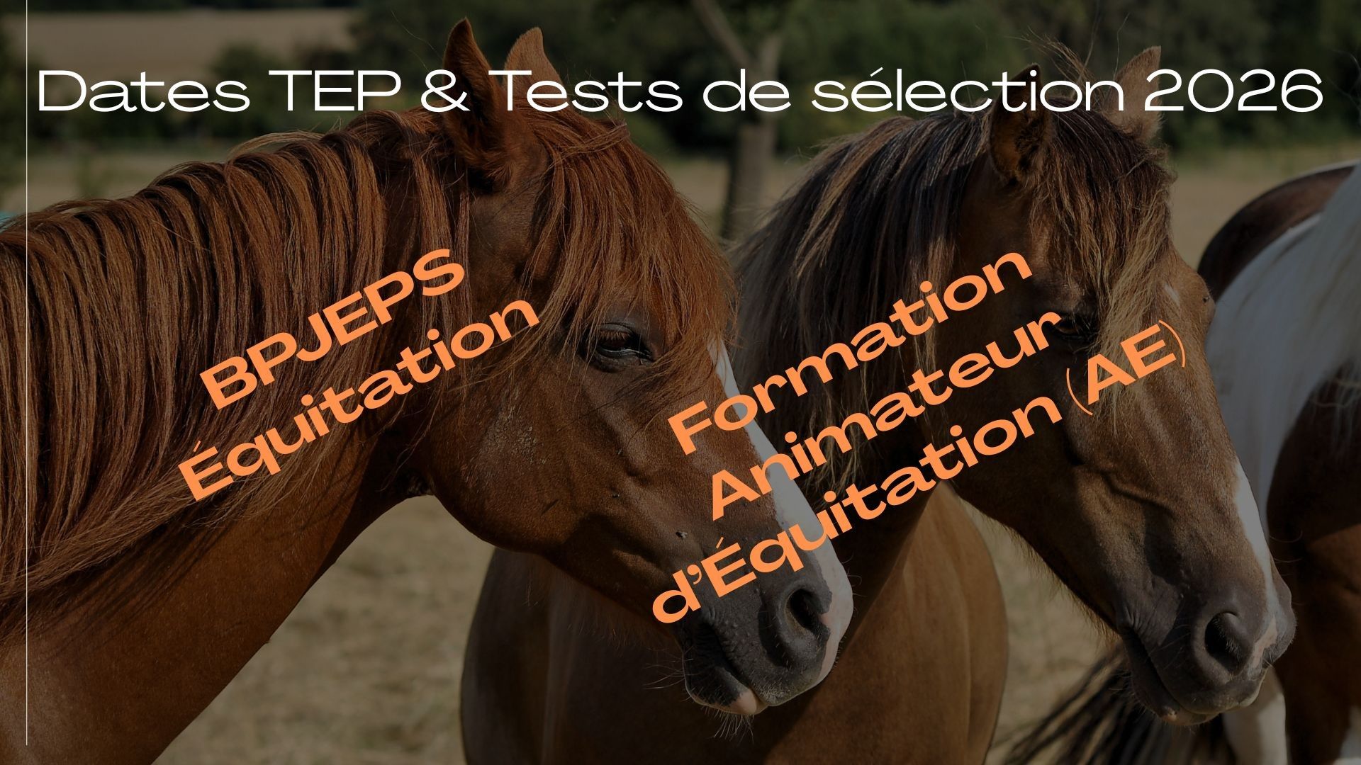 blockValue.56659b3a-ceb3-45c6-8992-8640f1903eba.img_alt